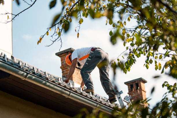 Best Roof Waterproofing Services  in Chevy Chase View, MD