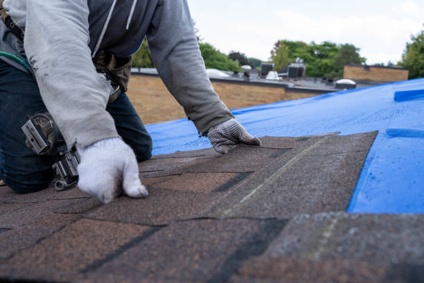 Best New Roof Installation  in Chevy Chase View, MD