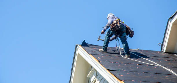 Best Residential Roofing Contractor  in Chevy Chase View, MD